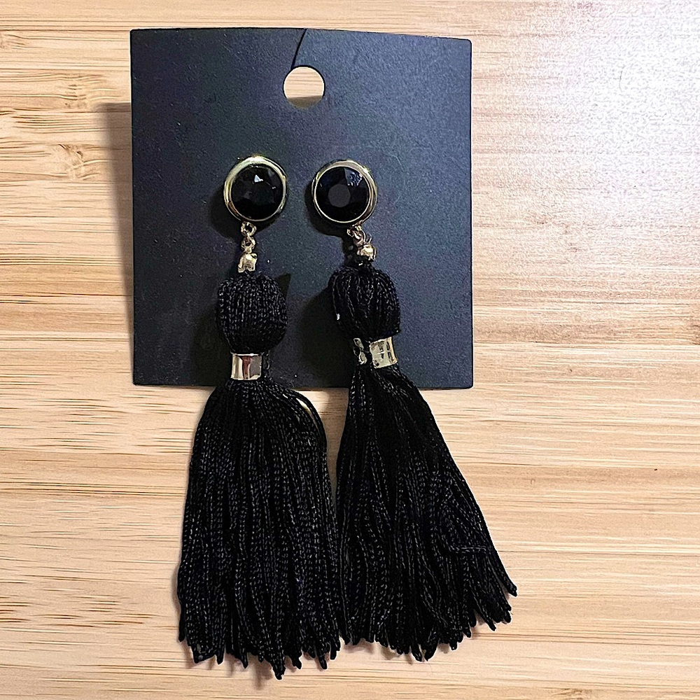 H&M Tassel Earrings (free with any purchase from my closet)
